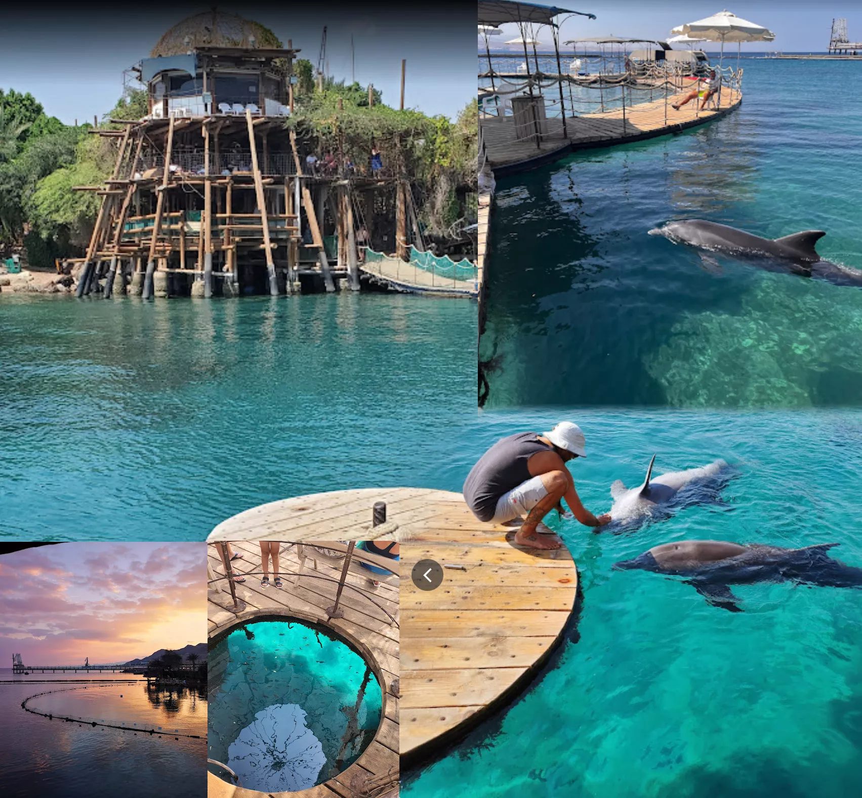 Illustration: floating piers and small dolphins near the surface